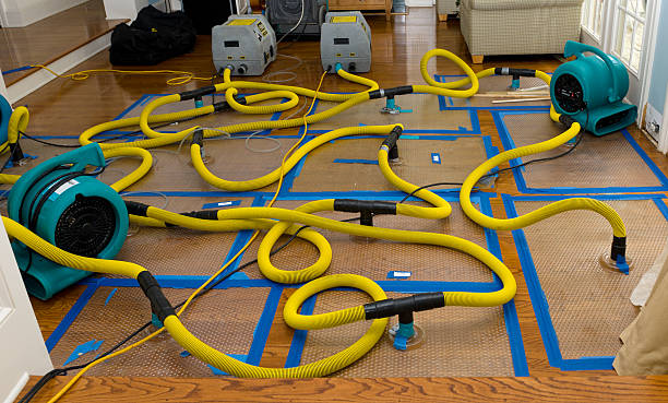 Professional Burst Pipe Water Damage technician working in Custar, OH