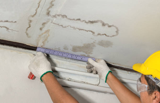 Affordable Burst Pipe Water Damage solutions in Custar, OH